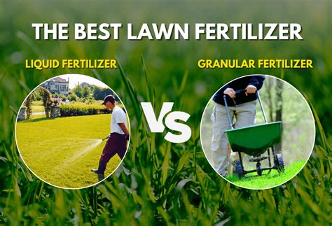 Liquid vs Granular Fertilizer: A Comprehensive Guide