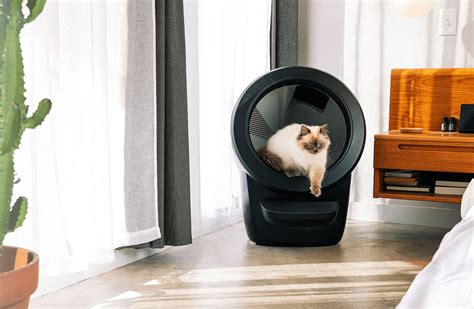 Litter Robot Black Friday: Unparalleled Savings on the Ultimate Cat Sanitation System