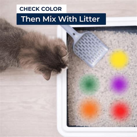 Litter That Changes Color: A Revolutionary Solution to a Global Problem