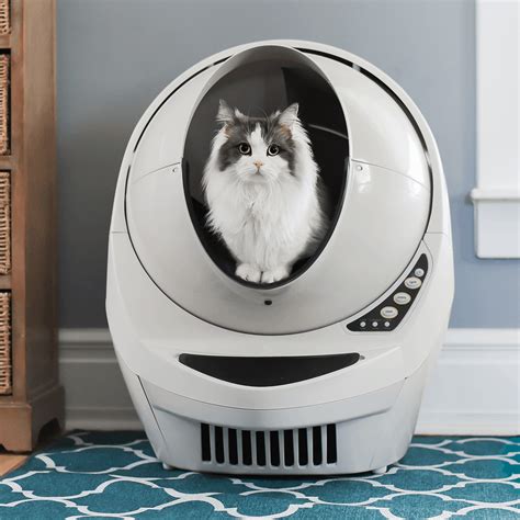 Litter box robotics and automation