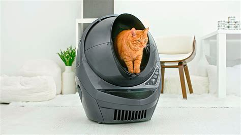 Litter-Robot 3: The Ultimate Cat Parasite Control Solution