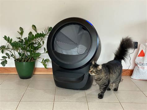 Litter-Robot 4: A Comprehensive Review