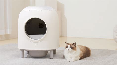 Litter-Robot Cat Litter: The Definitive Guide