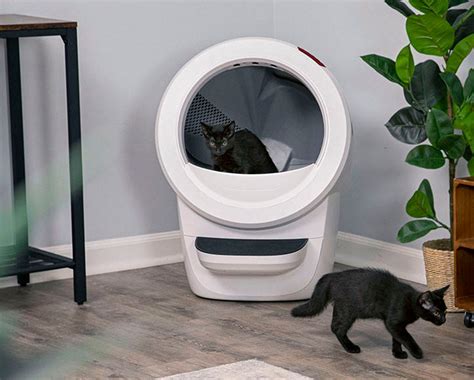 Litter-Robot Litter: Moisture Control Powerhouse for 2025