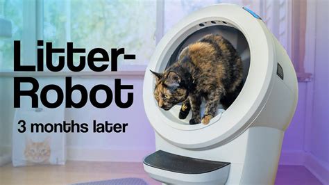 Litter-Robot litter ratings