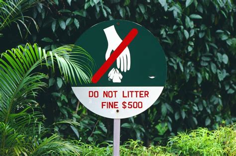 Littering Fine in Singapore: A Comprehensive Guide