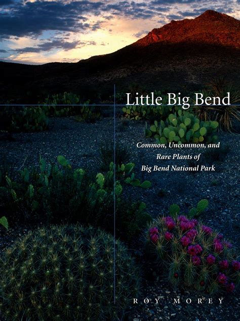 Little Big Bend: Common Kindle Editon
