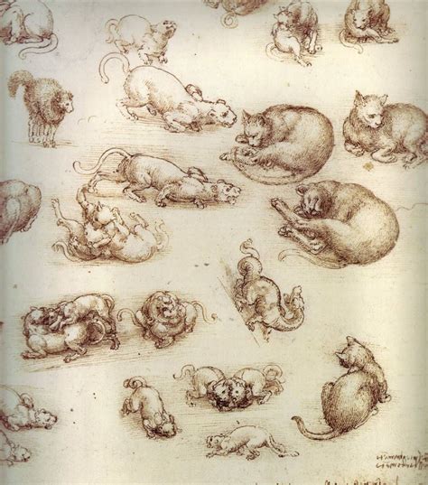 Little Leonardo da Vinci 1234 to paint the animal Reader