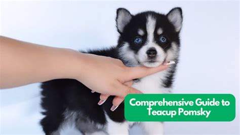 Little Rina: A Comprehensive Guide to Caring for Your Tiny Pup