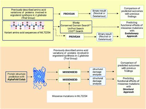 Liuxbate: Unlocking the Power of Open Source Workflows for Computational Biology