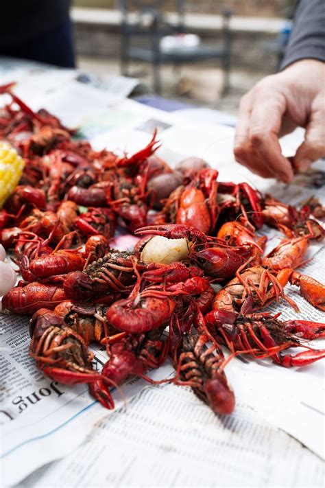 Live Crawfish: A Southern Delicacy