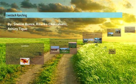 Livestock Ranching: Definition and Significance in AP Human Geography