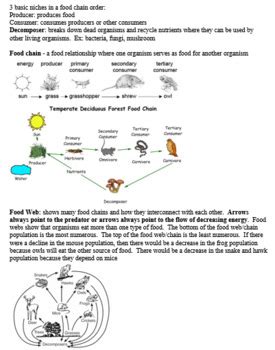 Living Environment Review Answers Ecology Reader