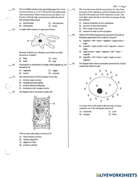 Living Environment Topic 4 Answers Doc