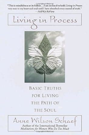 Living in Process Basic Truths for Living the Path of the Soul PDF