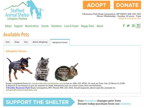 Livingston MT Animal Shelter: Your Guide to Pet Adoption and Support