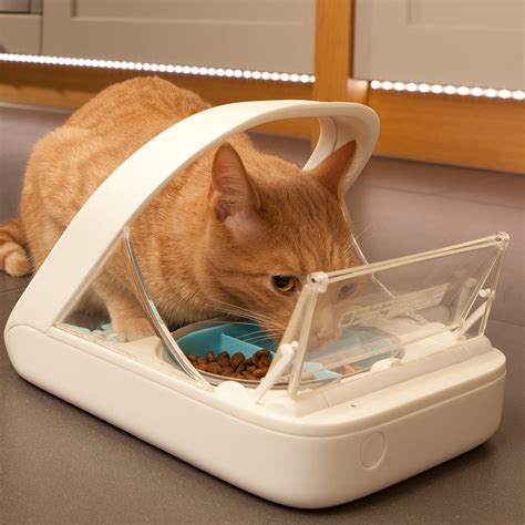 Lixit automatic cat feeder design