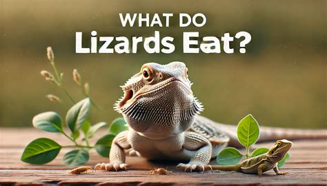 Lizards That Eat Vegetables: A Comprehensive Guide