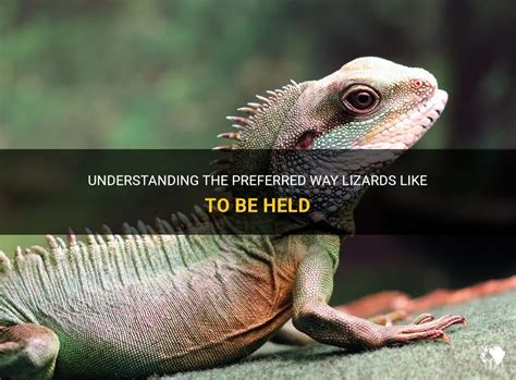 Lizards That Like to Be Held: The Ultimate Guide to Cuddly Reptiles