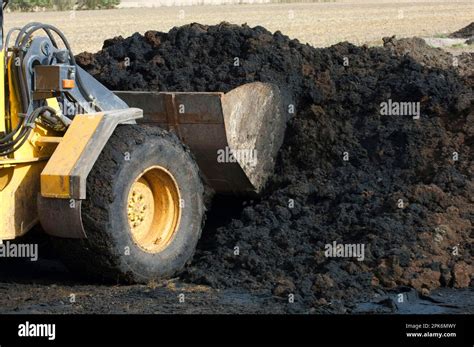 Load the manure: