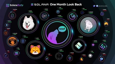 Loaf Cat Solana: The Rising Star in the Solana Ecosystem