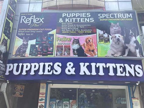 Local Pet Shops Near Me: A Comprehensive Guide for Pet Owners