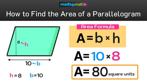 Locate the Search Area: