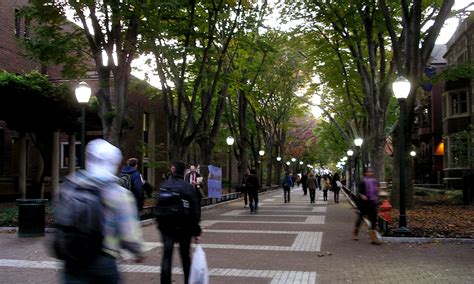Locust Walk: The Quintessential Penn Experience