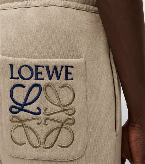 Loewe Shirt Women's: A Symbol of Sophisticated Simplicity