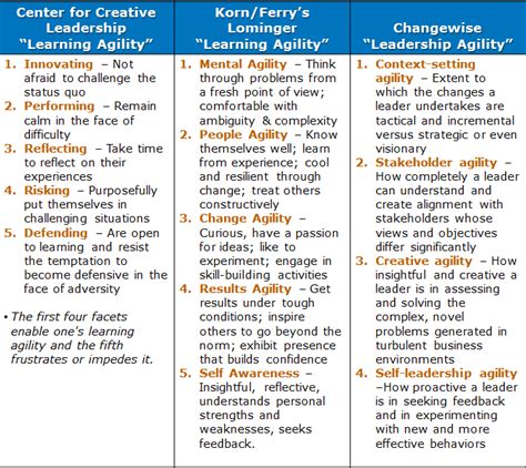 Lominger Competency Guide Ebook PDF