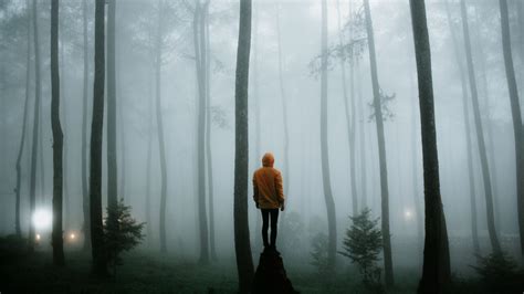 Loneliness in the Fog PDF
