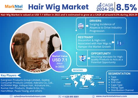 Long Haired Wig Market Analysis