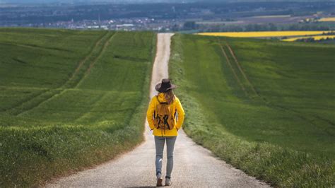 Long Journey Home: A Guide to Your Search for the Meaning of Life Doc