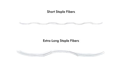 Long-Staple Fiber: