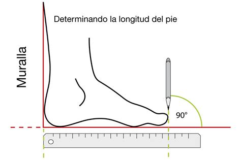 Longitud en Pies: Exploring the Significance of Foot Length in Various Aspects