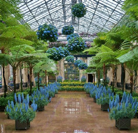 Longwood Gardens: A Haven for Horticulturalists and Nature Enthusiasts