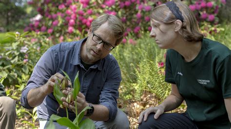 Longwood Gardens: A Trailblazer in Horticulture