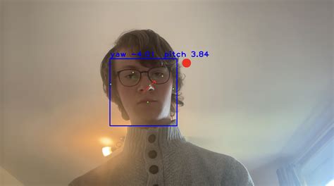 Look Me in the Eye: Unveiling the Power of Gaze Detection in the Digital Sphere