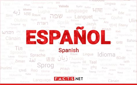 Look it up in Spanish: Uncover the Treasures of the Spanish Language