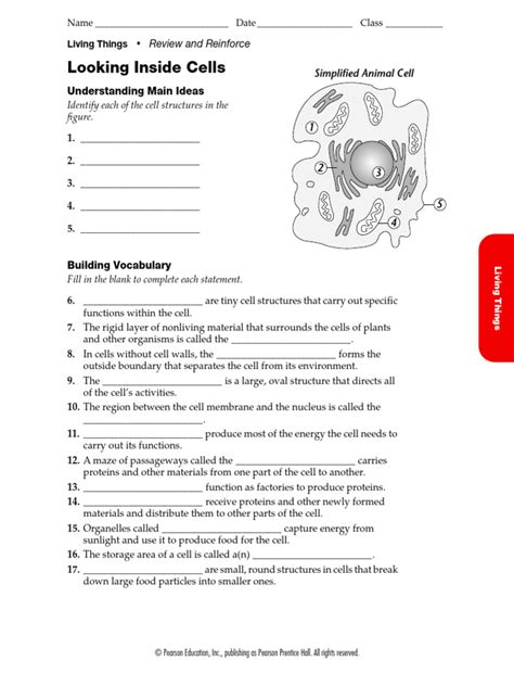 Looking Inside Cells Answers Section 1 2 Reader