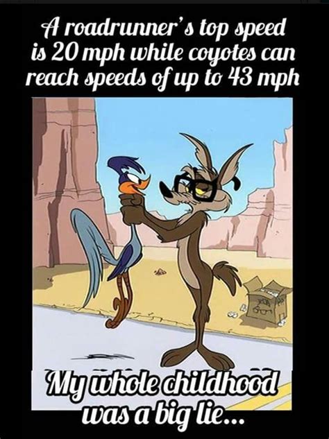 Looney Tunes Memes: The ACME of Internet Humor