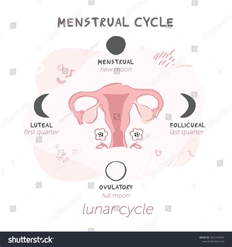 Loony_Moony: A Lunar Revolution in Menstrual Health