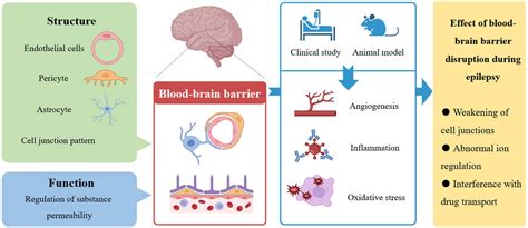 Lopesariana: Unveiling the Uncharted Frontiers of Epilepsy Research