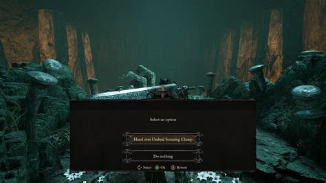 Lords of the Fallen Seek Scouring