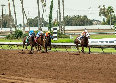 Los Alamitos Live Racing: A Thrilling 2023 Adventure