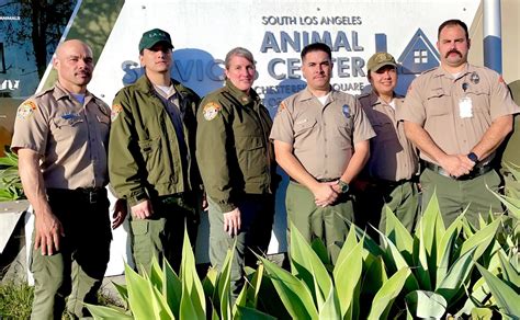 Los Angeles Animal Control: Keeping the City Safe & Humane