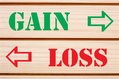 Loss and Gain PDF