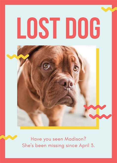 Lost Dog Flyer Template Free