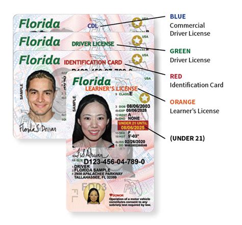 Lost Your Driver's License in Florida? Find Out How to Get a Replacement Fast!