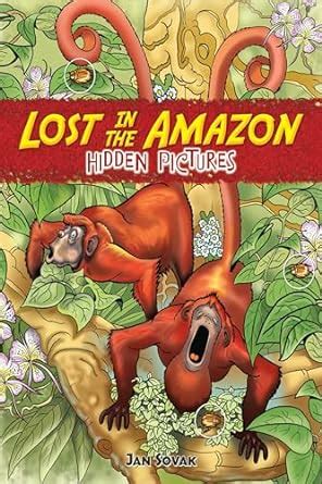 Lost in the Amazon Hidden Pictures Dover Children s Activity Books Reader